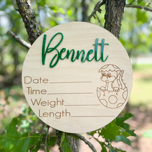 Personalized Baby Dinosaur Baby Announcement Sign