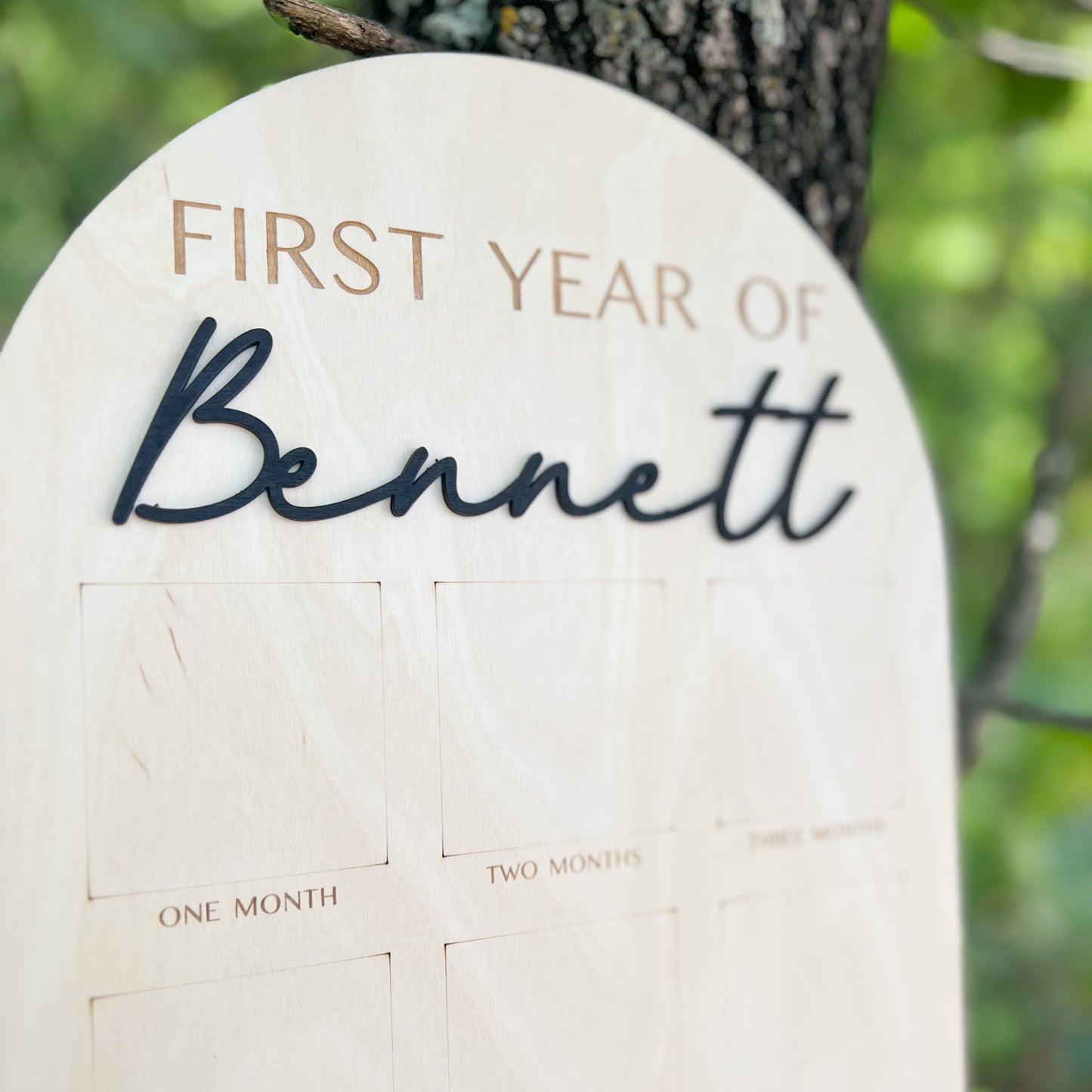 Personalized Baby's First Year Keepsake Photo Frame