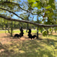 Black Bat Halloween Earrings