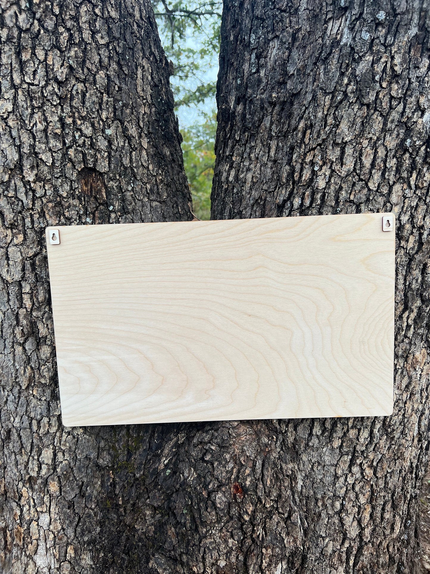 Push Pin Map to Mark Travel Log