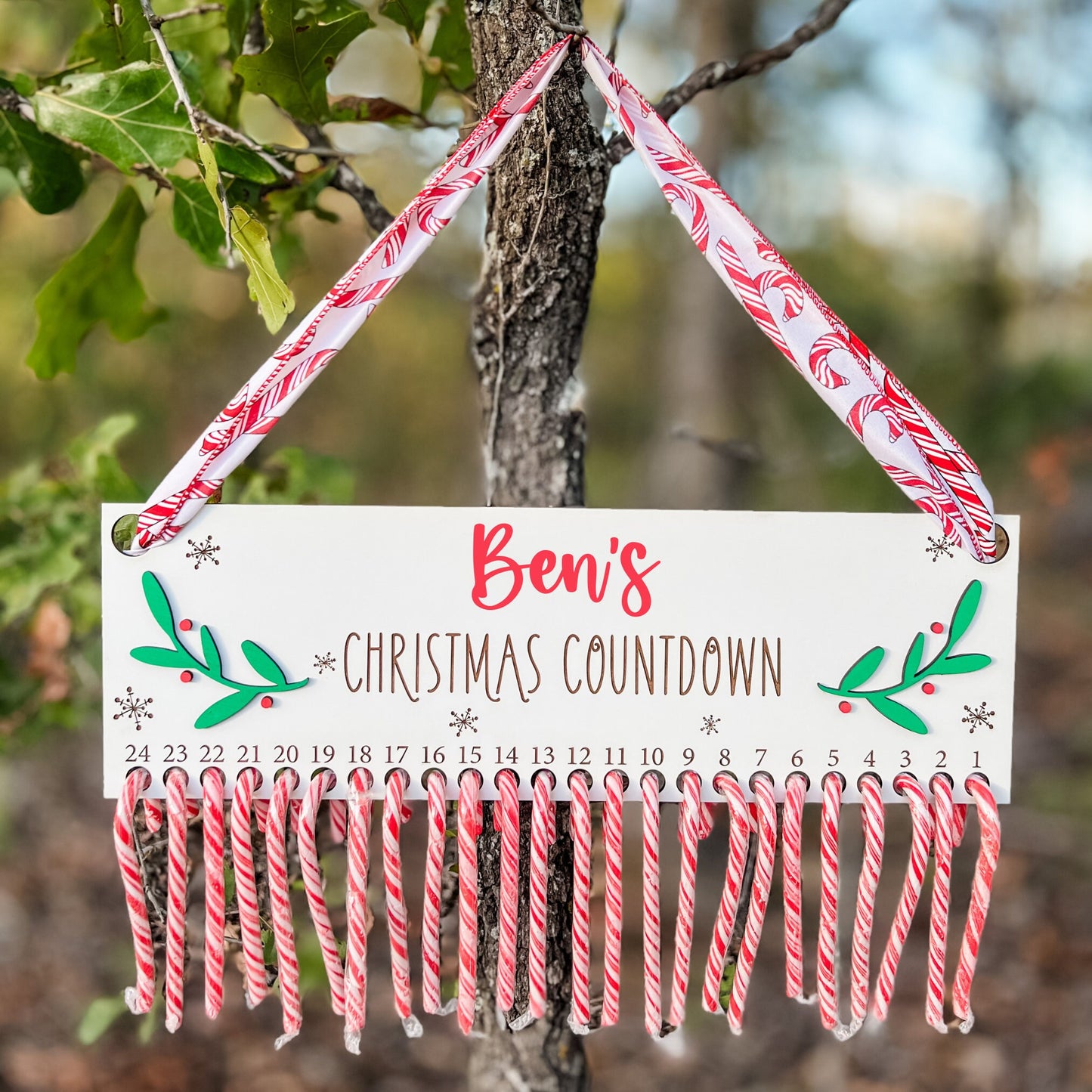 Candy Cane Advent Calendar for Christmas