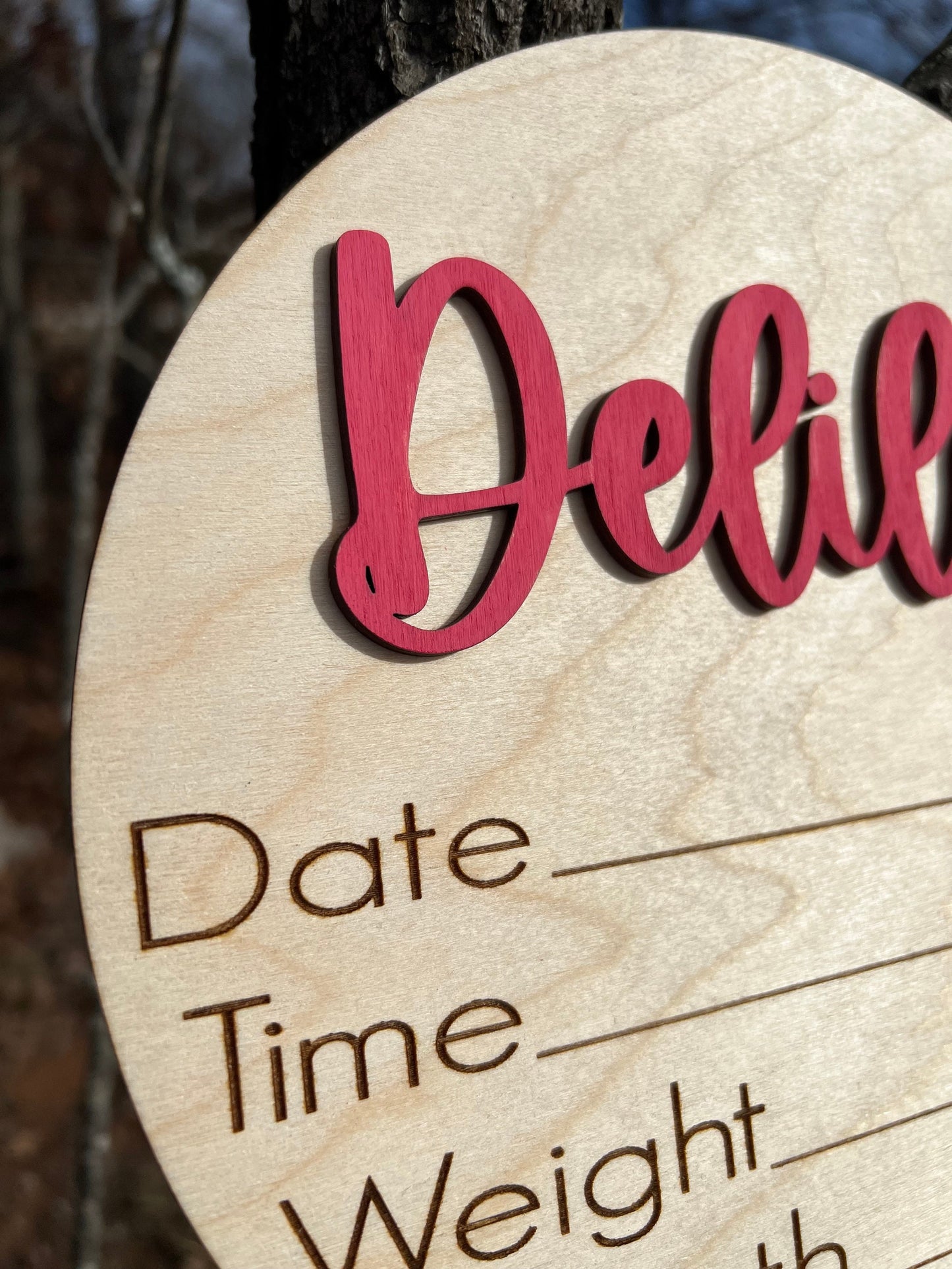 Personalized Baby Announcement Sign with Birth Stats