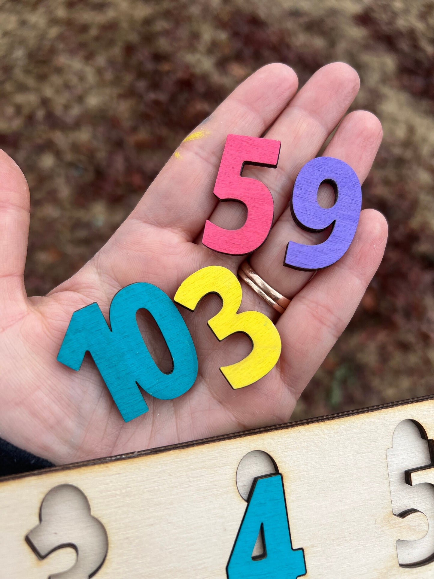 Wooden Number Puzzle for Kids