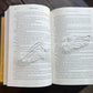 Fae Wing Thumb Book Holder