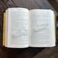 Fae Wing Thumb Book Holder