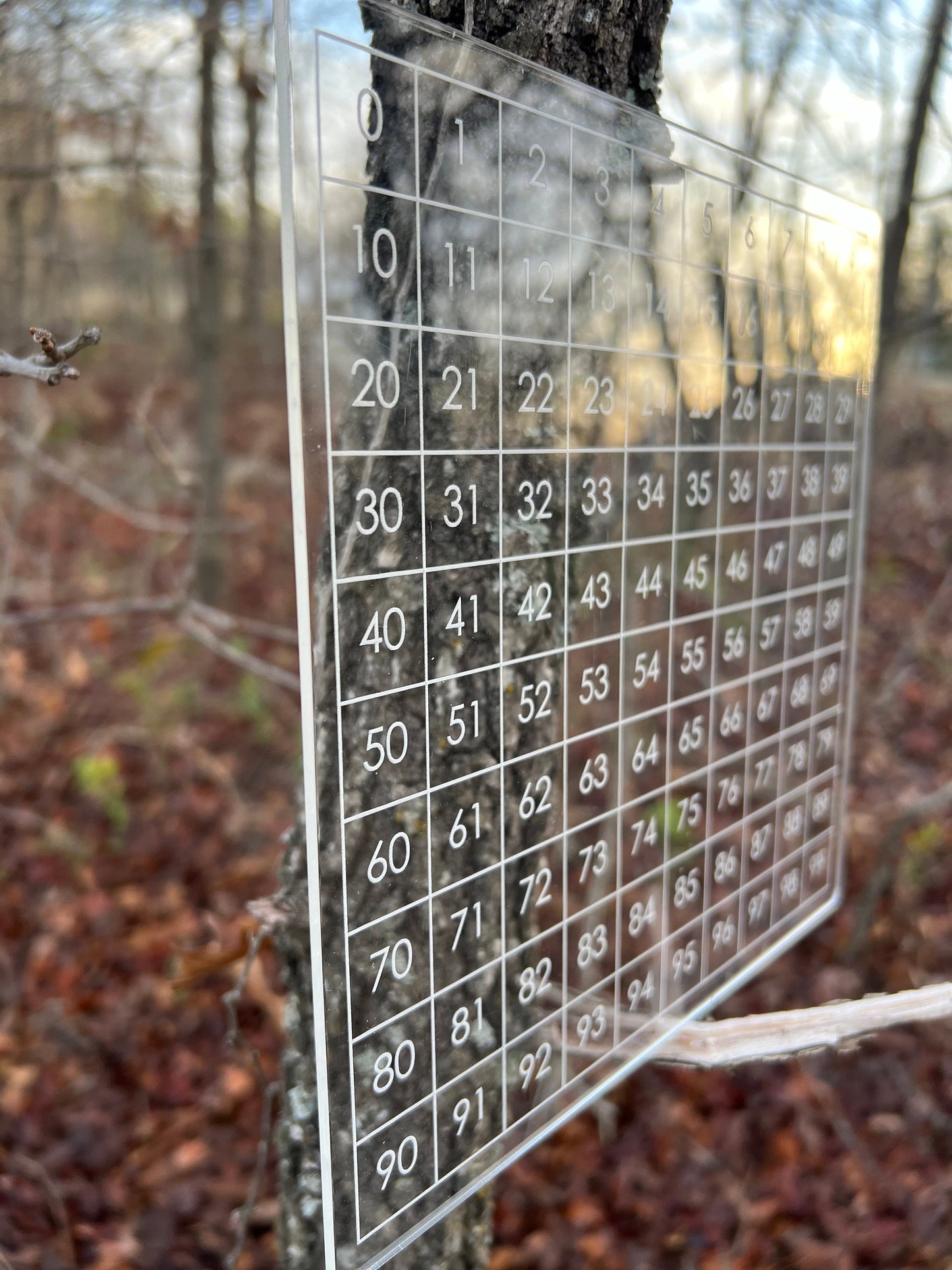 0-99 Counting Acrylic Board for kids